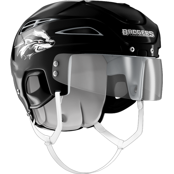 Allegheny Badgers Helmet Stickers