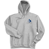 Pittsburgh Huskies Super Heavyweight Fleece Hoodie