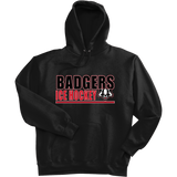 Scary Badgers Super Heavyweight Fleece Hoodie