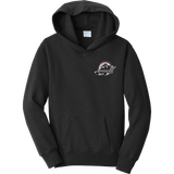 Allegheny Badgers Youth Fan Favorite Fleece Pullover Hooded Sweatshirt
