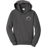 Allegheny Badgers Youth Fan Favorite Fleece Pullover Hooded Sweatshirt