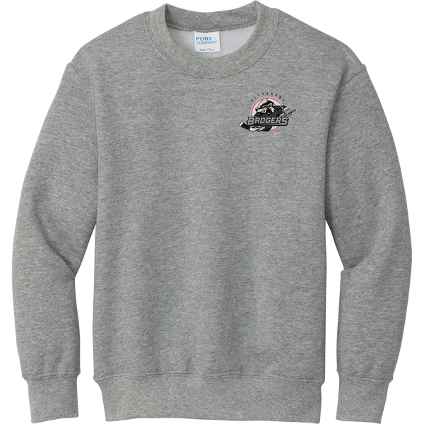Allegheny Badgers Youth Core Fleece Crewneck Sweatshirt