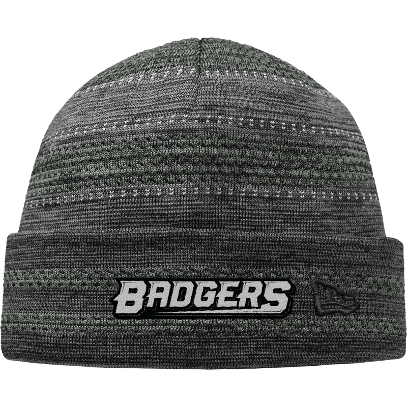 Allegheny Badgers New Era On-Field Knit Beanie